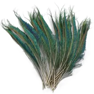12-16 inches Inches Natural Peacock Swor