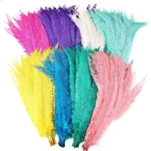 Wholesale Ostrich Nandu Feathers for Car